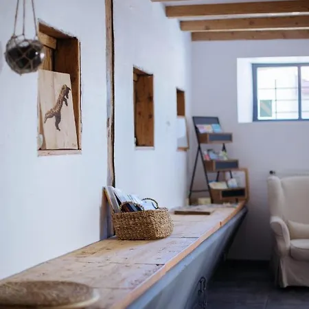 Des Sapins Aux Etoiles