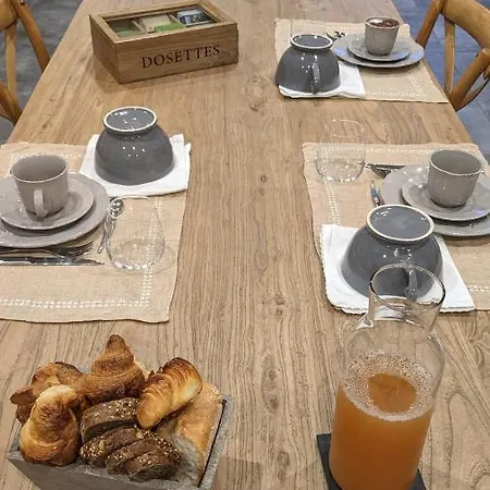 Des Sapins Aux Etoiles