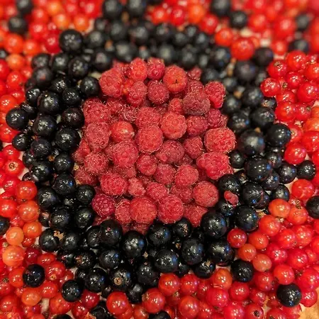 Des Sapins Aux Etoiles Panzió Pierre-Percée