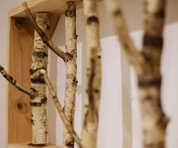 Des Sapins Aux Etoiles 3*