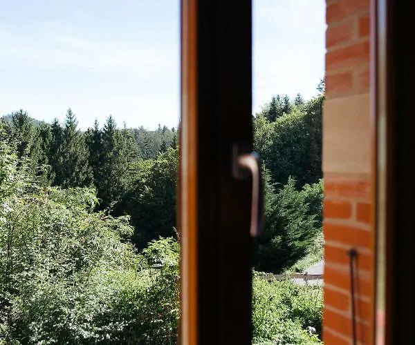 Des Sapins Aux Etoiles