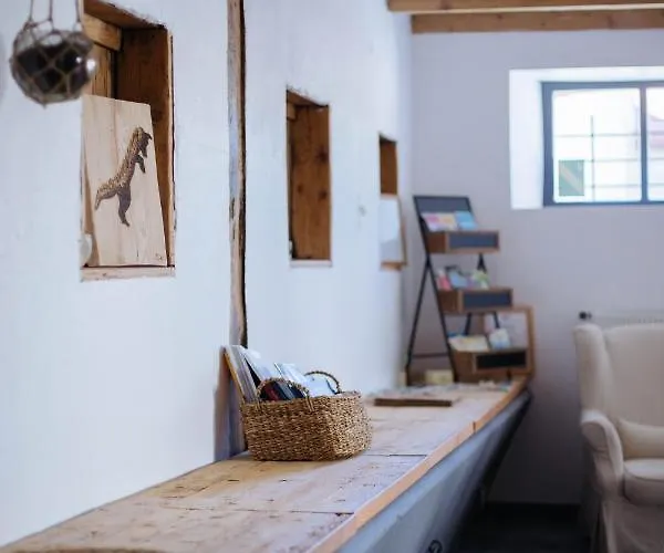 Des Sapins Aux Etoiles