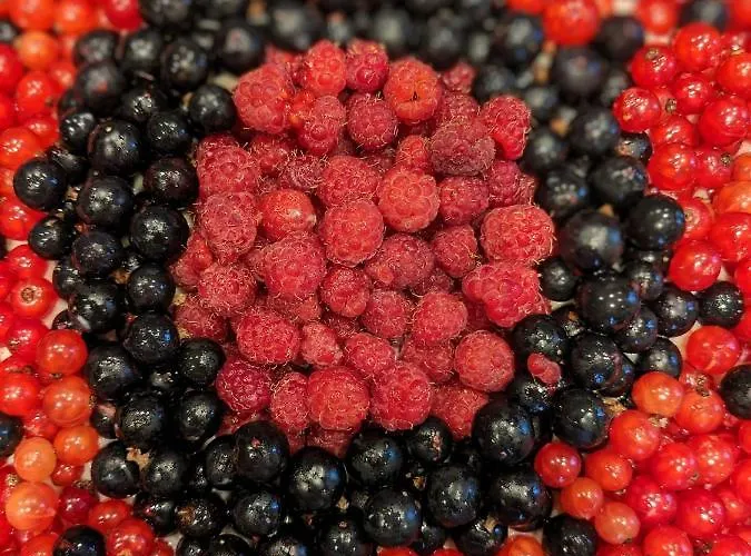 Des Sapins Aux Etoiles Отель типа 